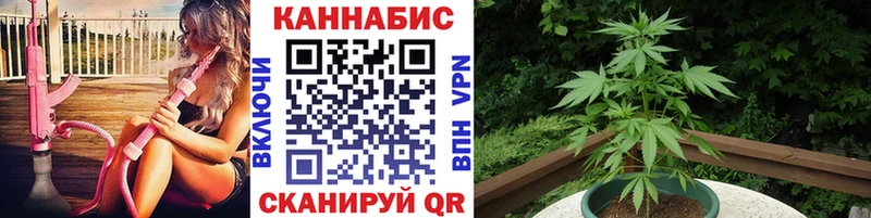 Купить где  Воткинск  Конопля Ganja 